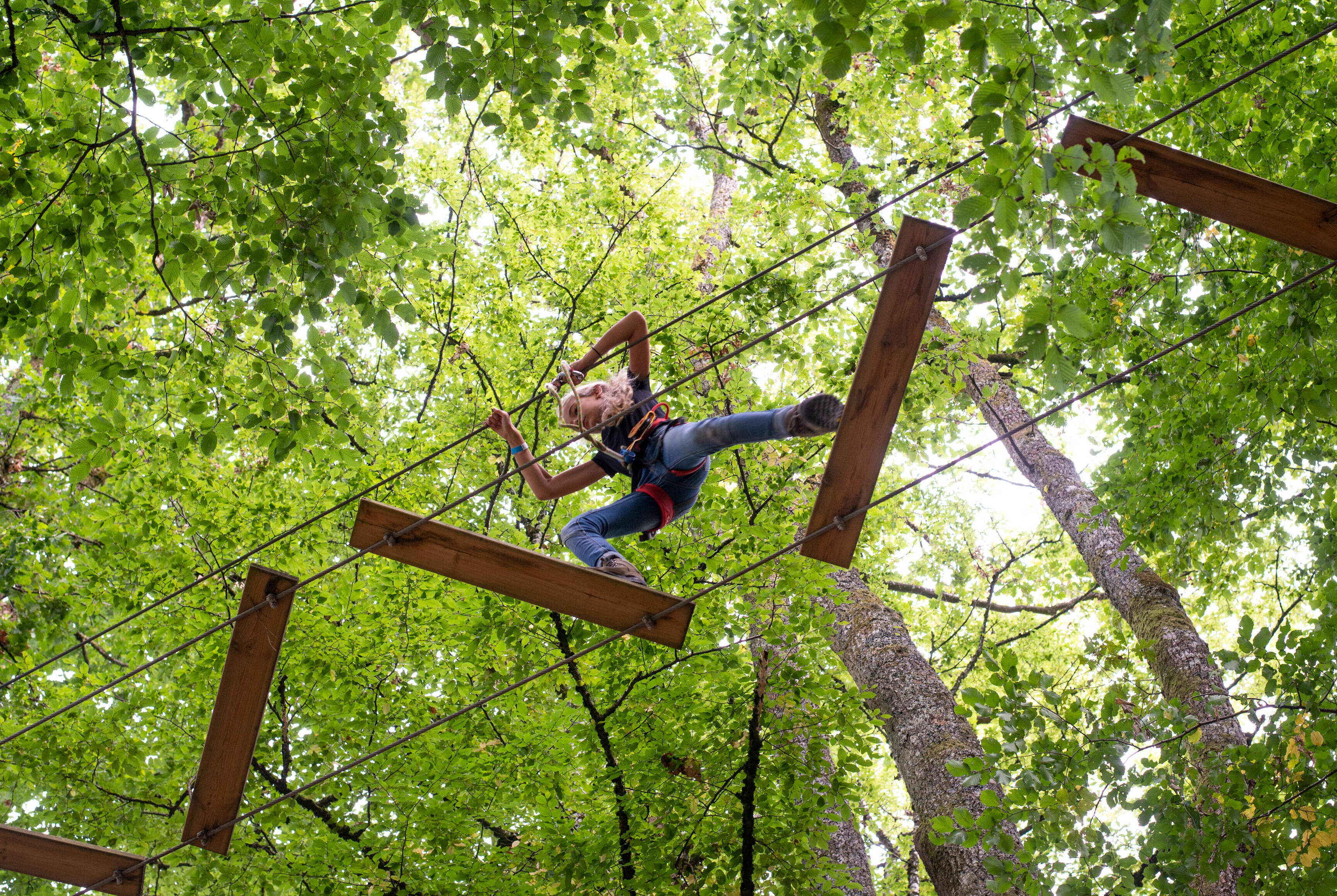 Tree adventure park. Young girl climbing in trees on ropes image shot from below looking up at tree tops.