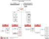 organigramme